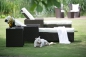 WT-3006 Polyrattanliege
